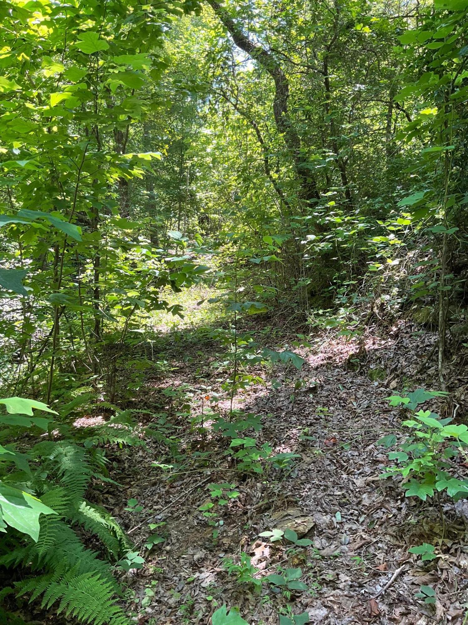 Tallulah Gorge Retreat Lakemont Zewnętrze zdjęcie